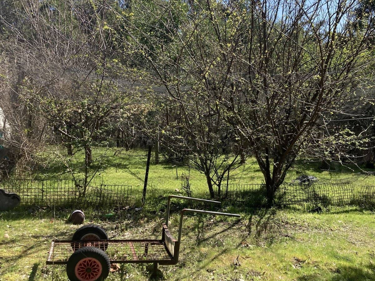 138 Elliot Road, Valencia Creek - Thumbnail 15