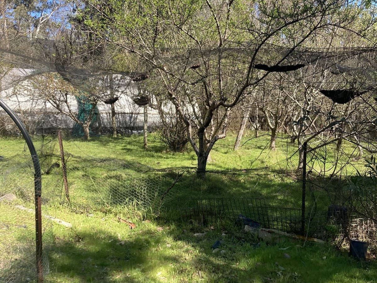 138 Elliot Road, Valencia Creek - Thumbnail 16