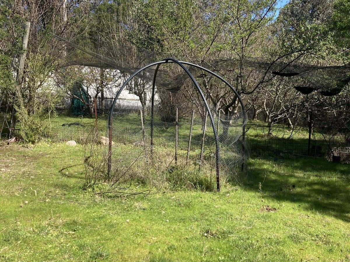 138 Elliot Road, Valencia Creek - Thumbnail 17