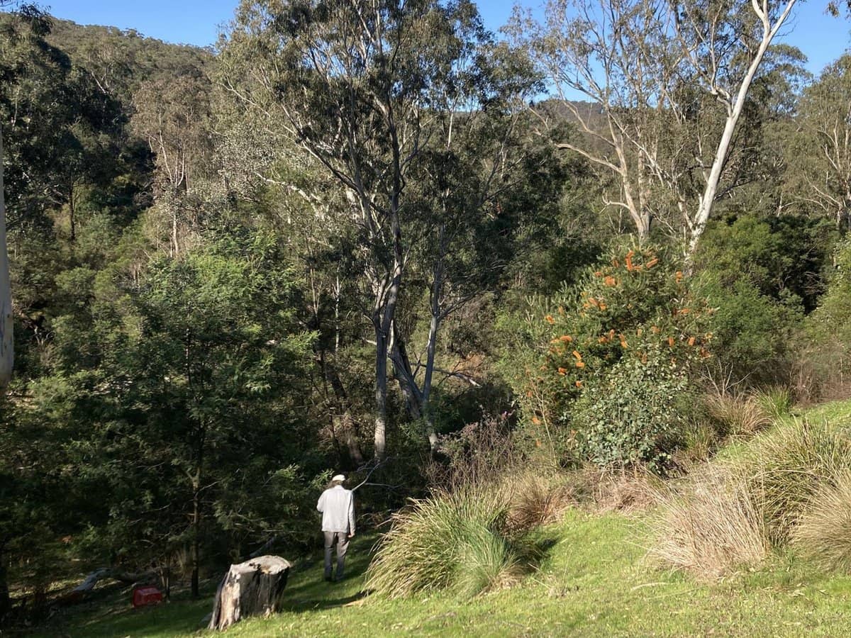 138 Elliot Road, Valencia Creek - Thumbnail 18