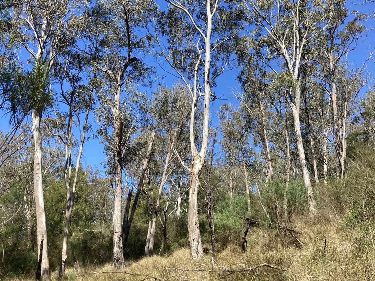 138 Elliot Road, Valencia Creek - Thumbnail 19