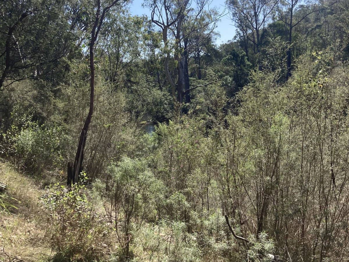 138 Elliot Road, Valencia Creek - Thumbnail 20