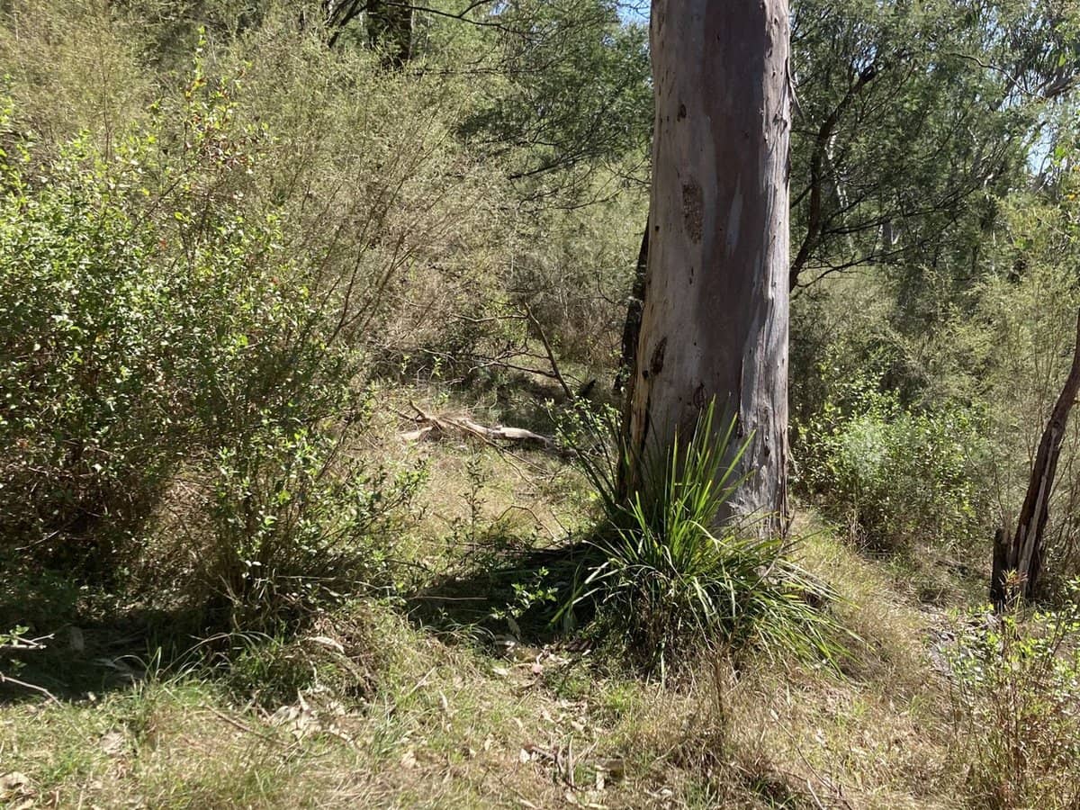 138 Elliot Road, Valencia Creek - Thumbnail 21