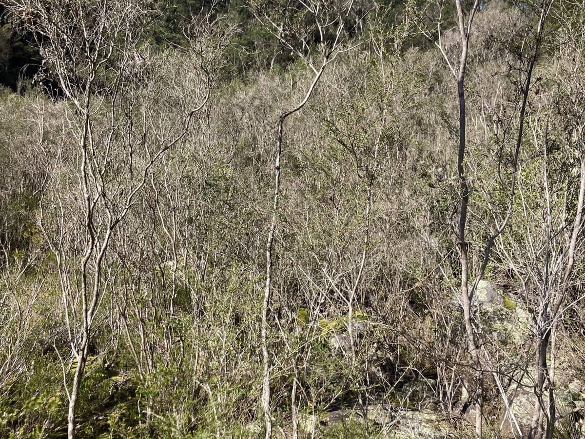 138 Elliot Road, Valencia Creek - Thumbnail 22