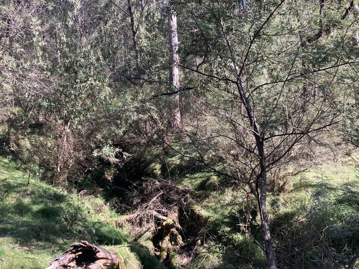 138 Elliot Road, Valencia Creek - Thumbnail 24