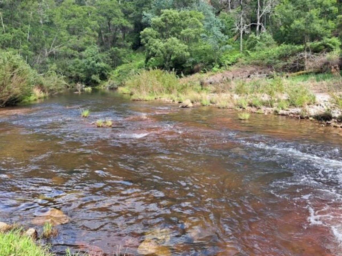 138 Elliot Road, Valencia Creek - Thumbnail 25