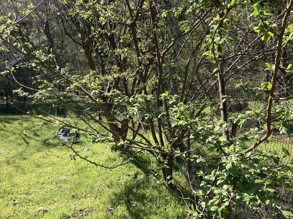 138 Elliot Road, Valencia Creek - Thumbnail 26