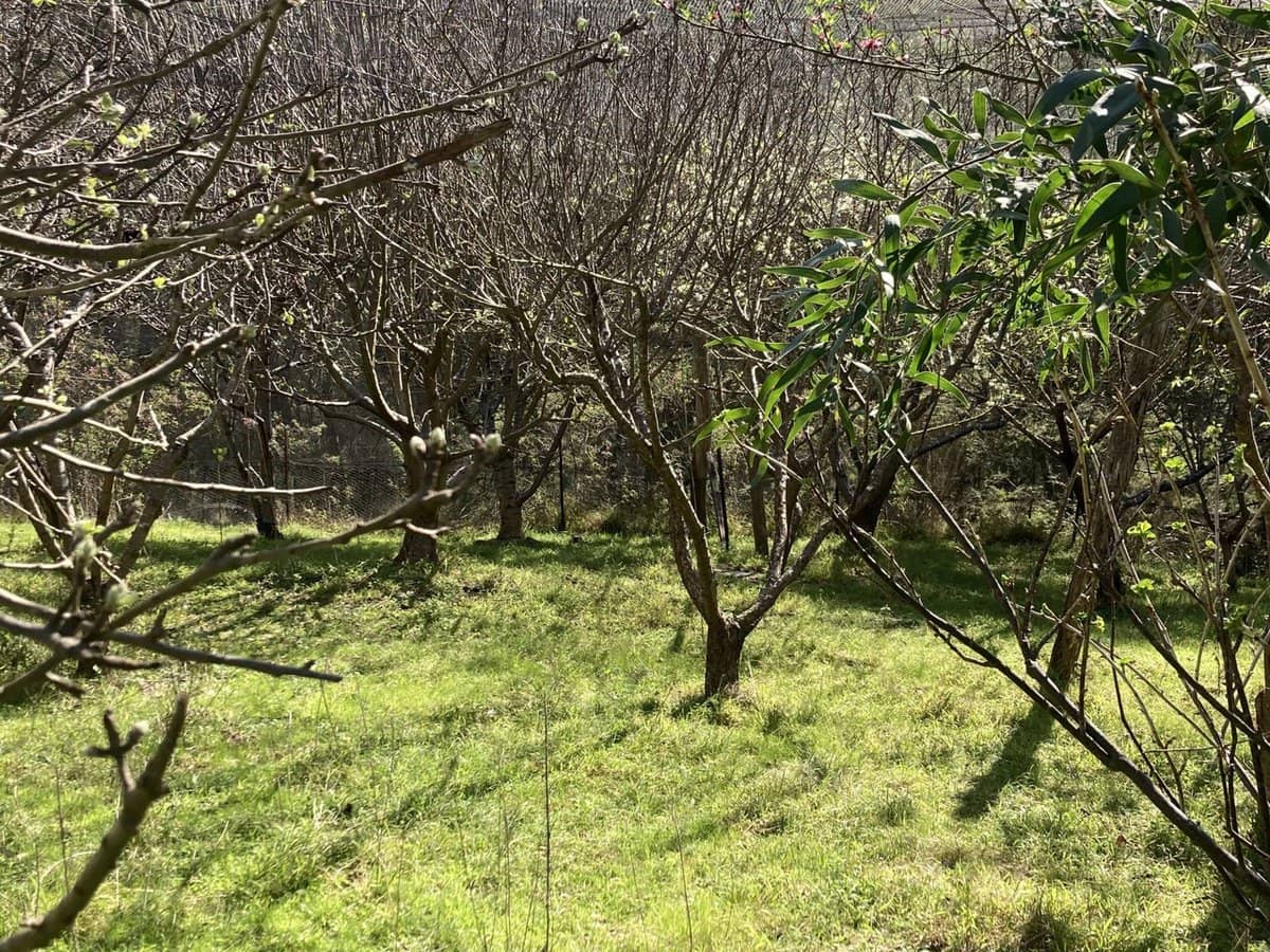 138 Elliot Road, Valencia Creek - Thumbnail 27