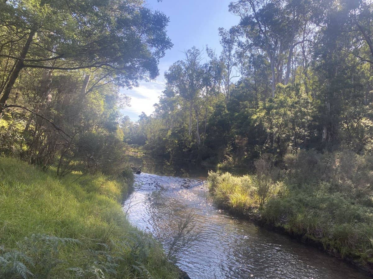 138 Elliot Road, Valencia Creek - Thumbnail 30