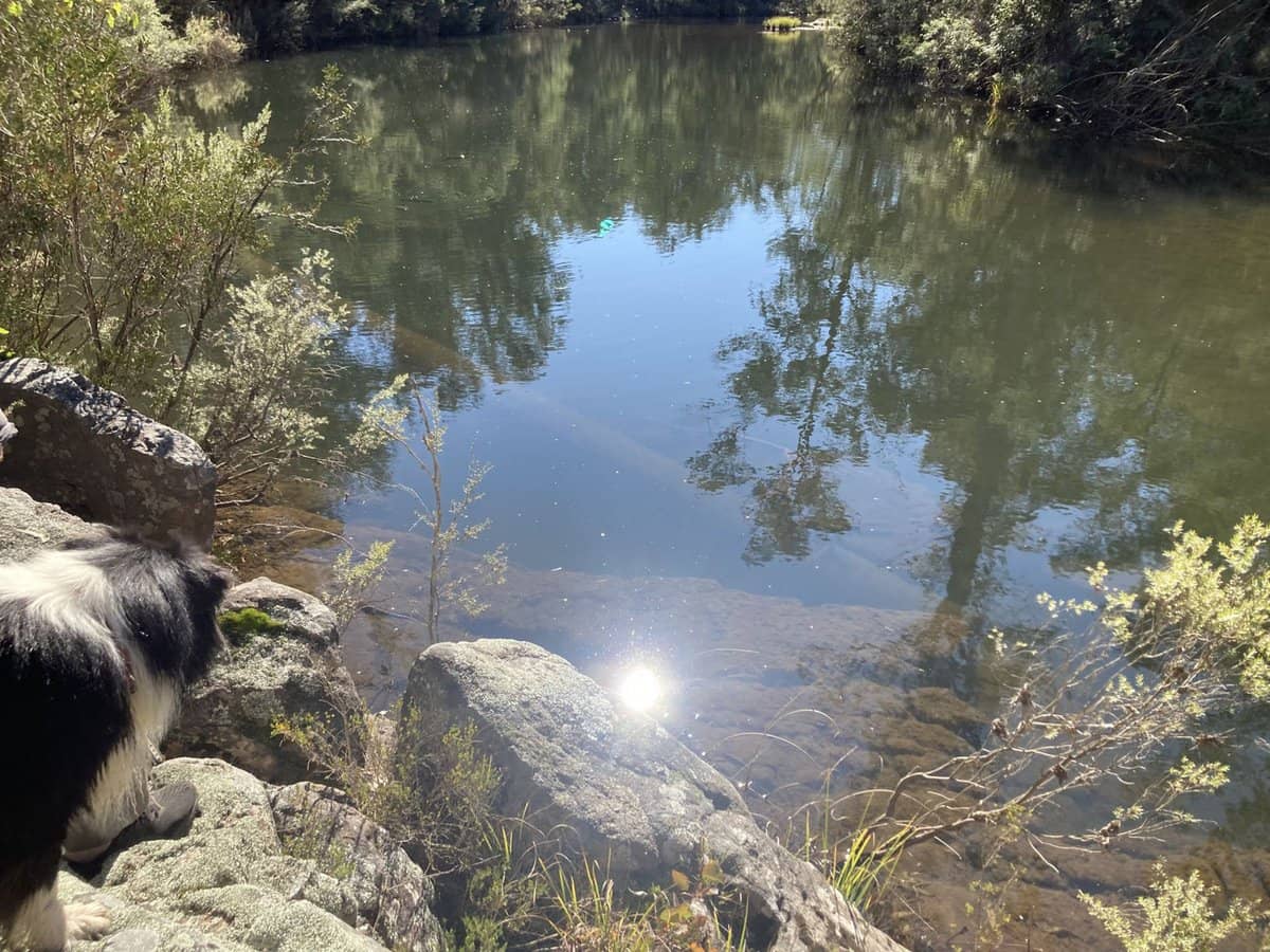 138 Elliot Road, Valencia Creek - Thumbnail 31