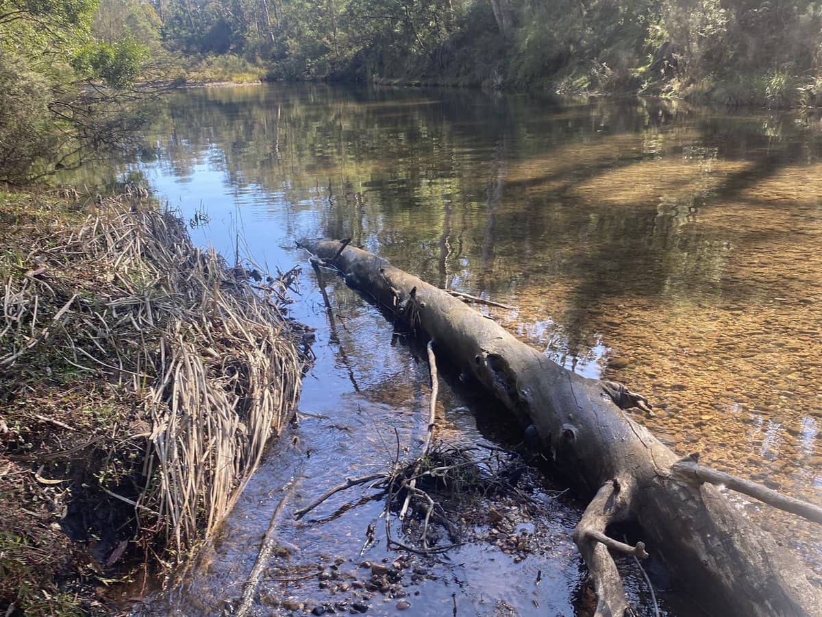 138 Elliot Road, Valencia Creek - Thumbnail 32