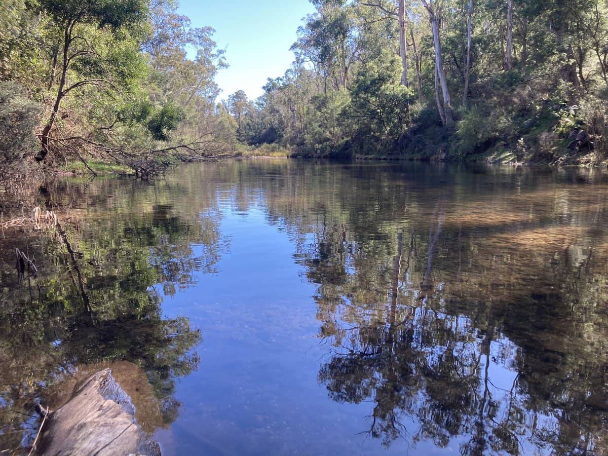 138 Elliot Road, Valencia Creek - Thumbnail 33