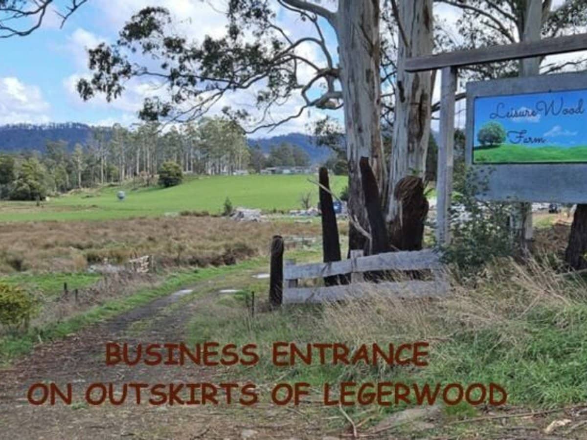 47 Haas Road, Legerwood - Thumbnail 4