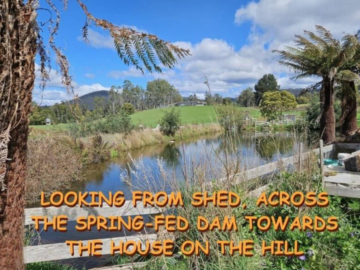 47 Haas Road, Legerwood - Thumbnail 5