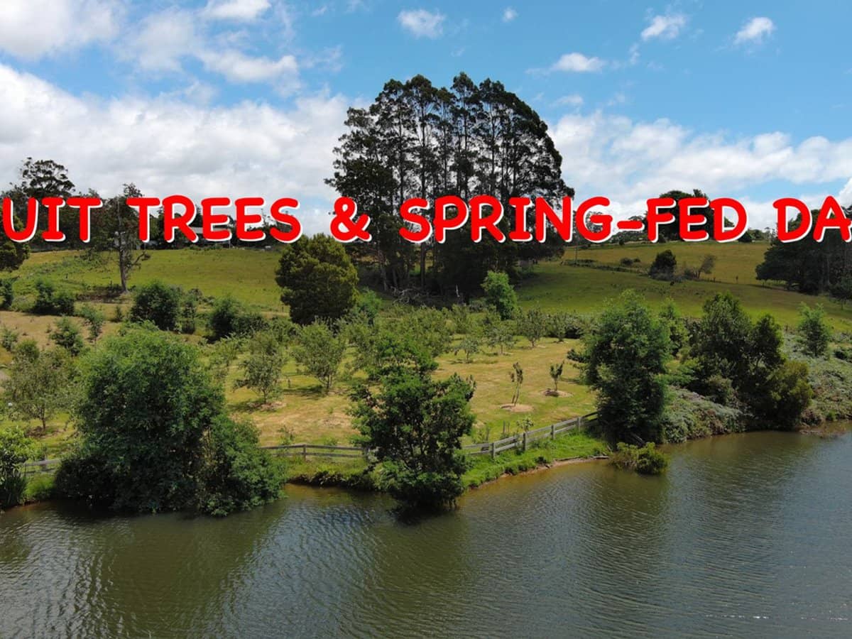 47 Haas Road, Legerwood - Thumbnail 22