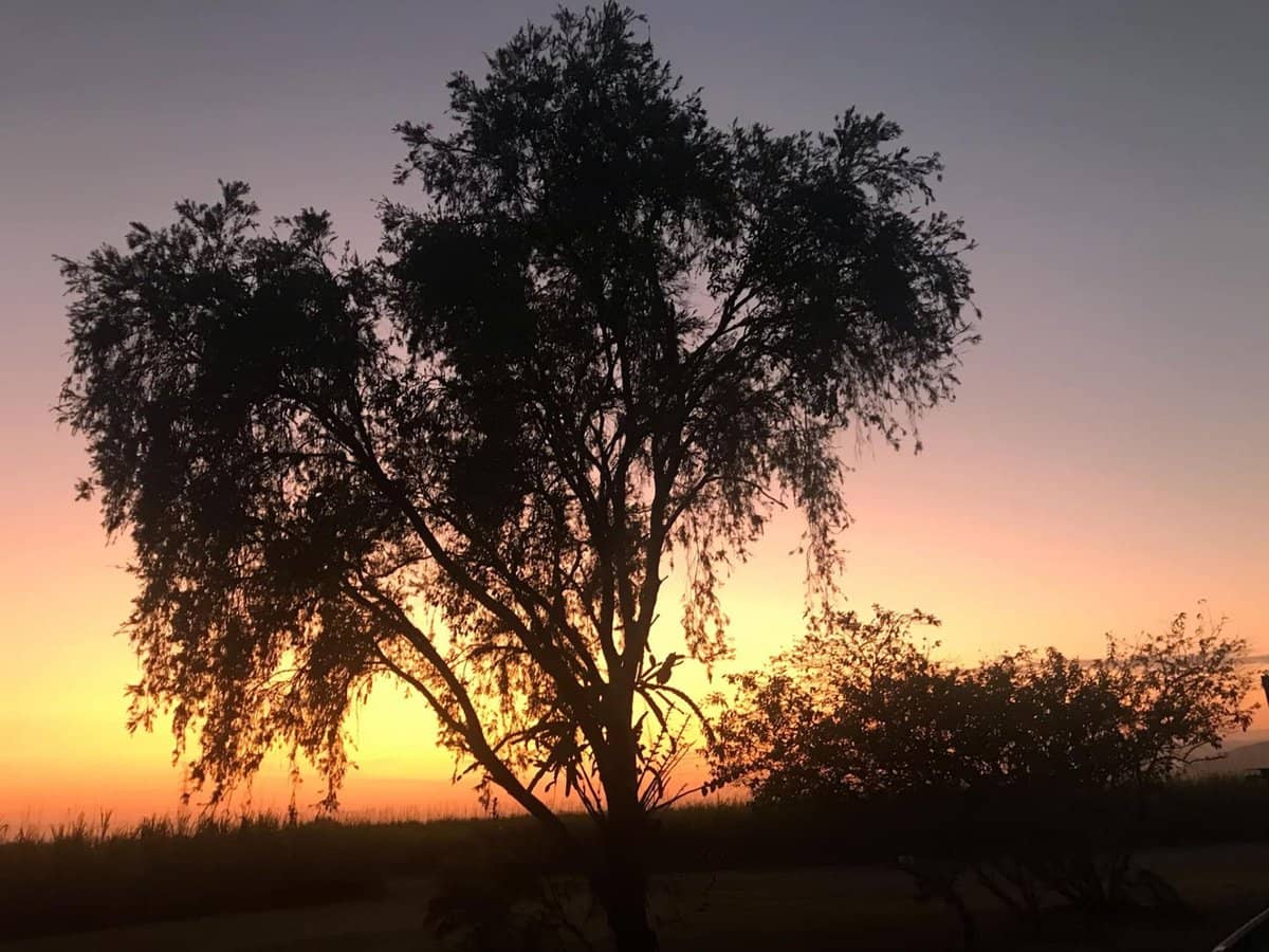 268 Eton/Homebush Road, Eton - Thumbnail 9