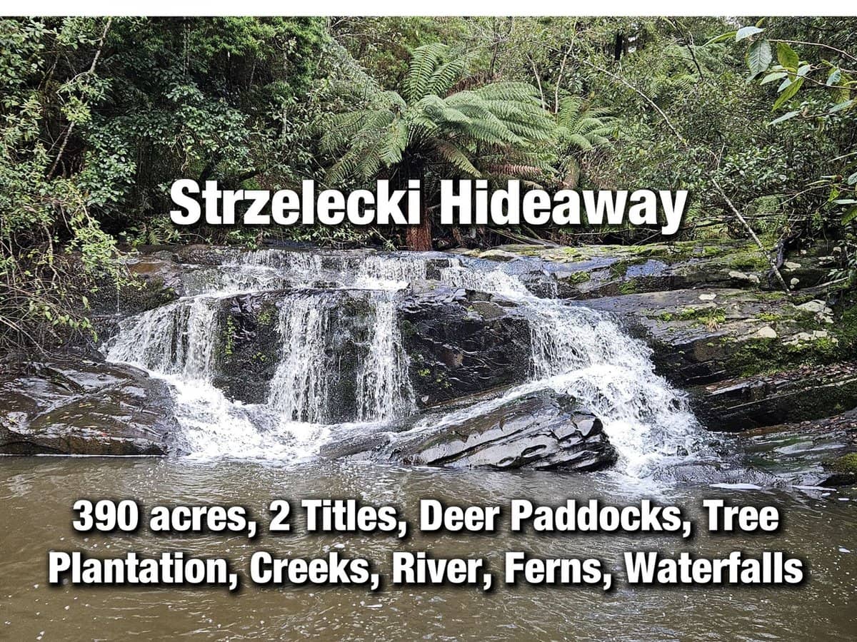 4355 Grand Ridge Road, Grand Ridge - Thumbnail 1