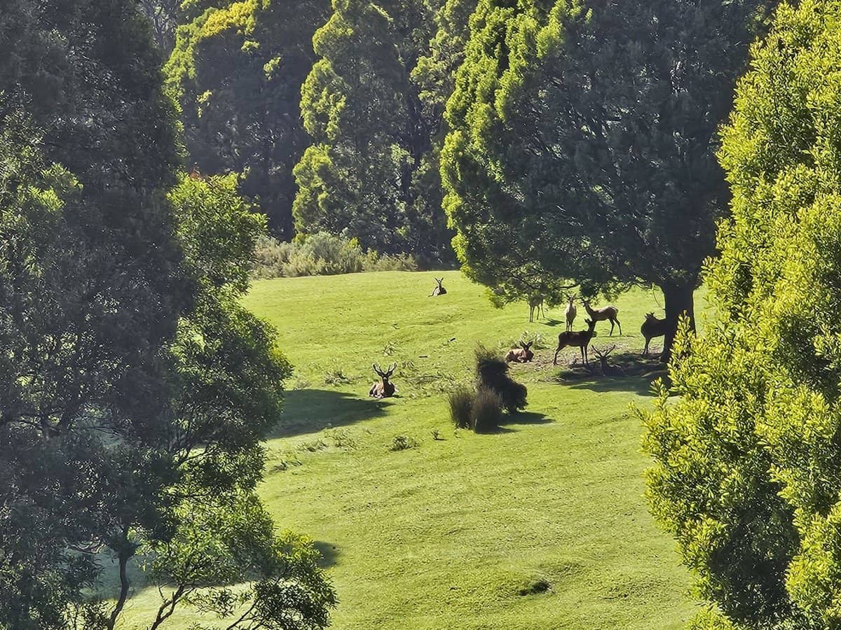 4355 Grand Ridge Road, Grand Ridge - Thumbnail 2