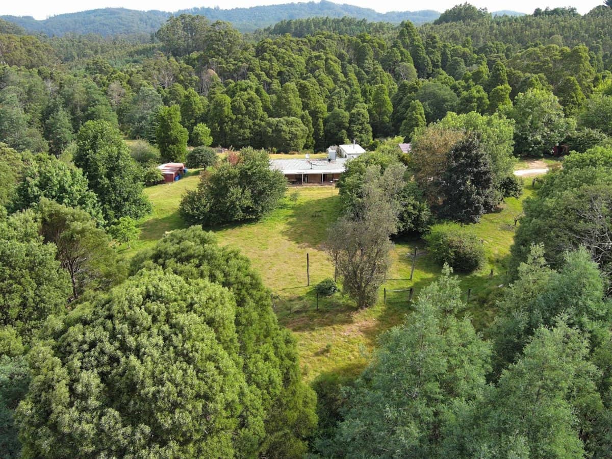 4355 Grand Ridge Road, Grand Ridge - Thumbnail 3