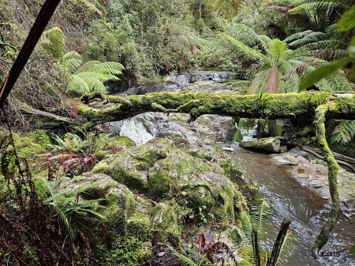 4355 Grand Ridge Road, Grand Ridge - Thumbnail 6