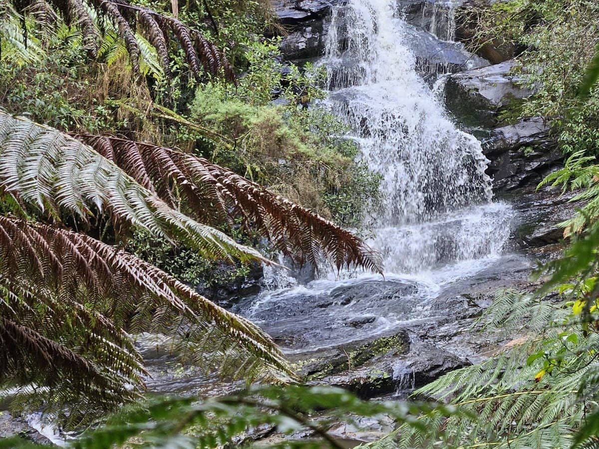 4355 Grand Ridge Road, Grand Ridge - Thumbnail 8