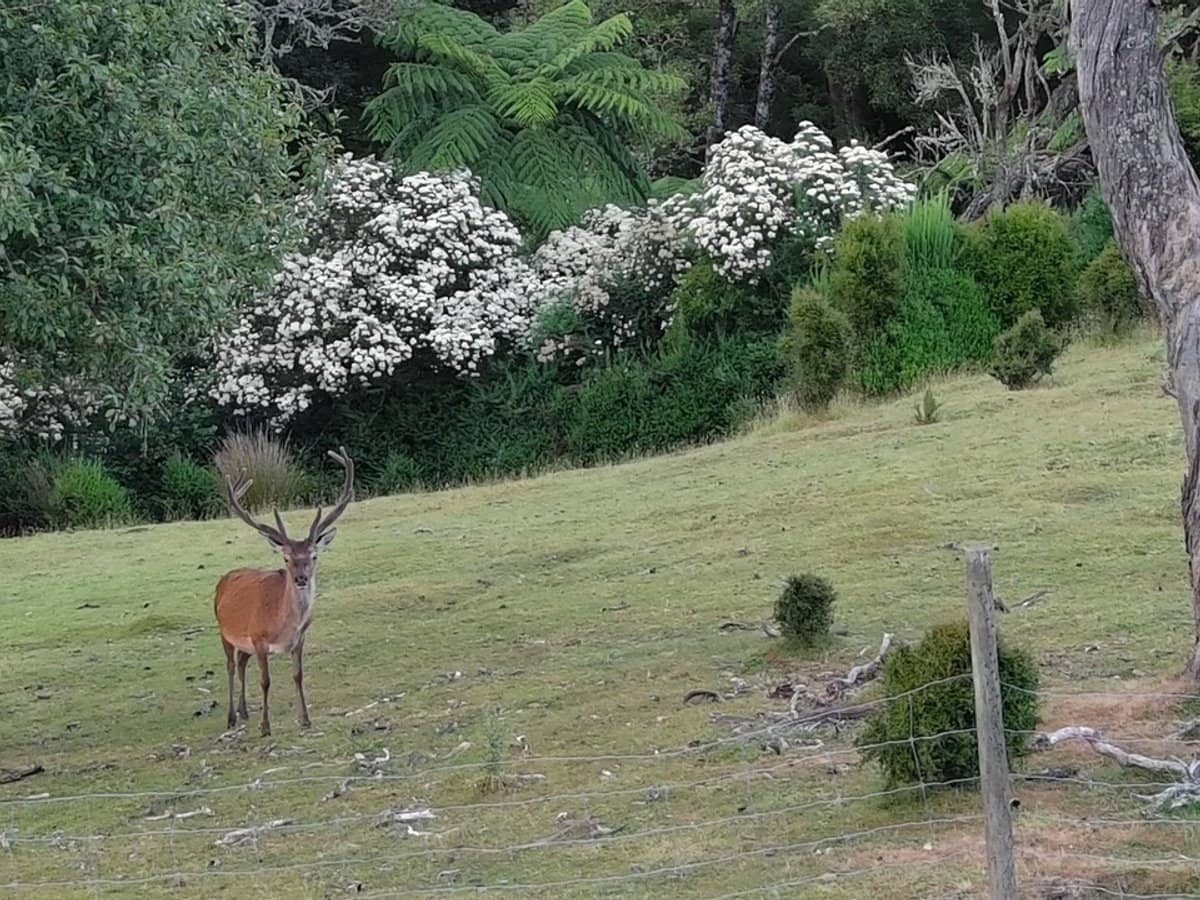 4355 Grand Ridge Road, Grand Ridge - Thumbnail 10