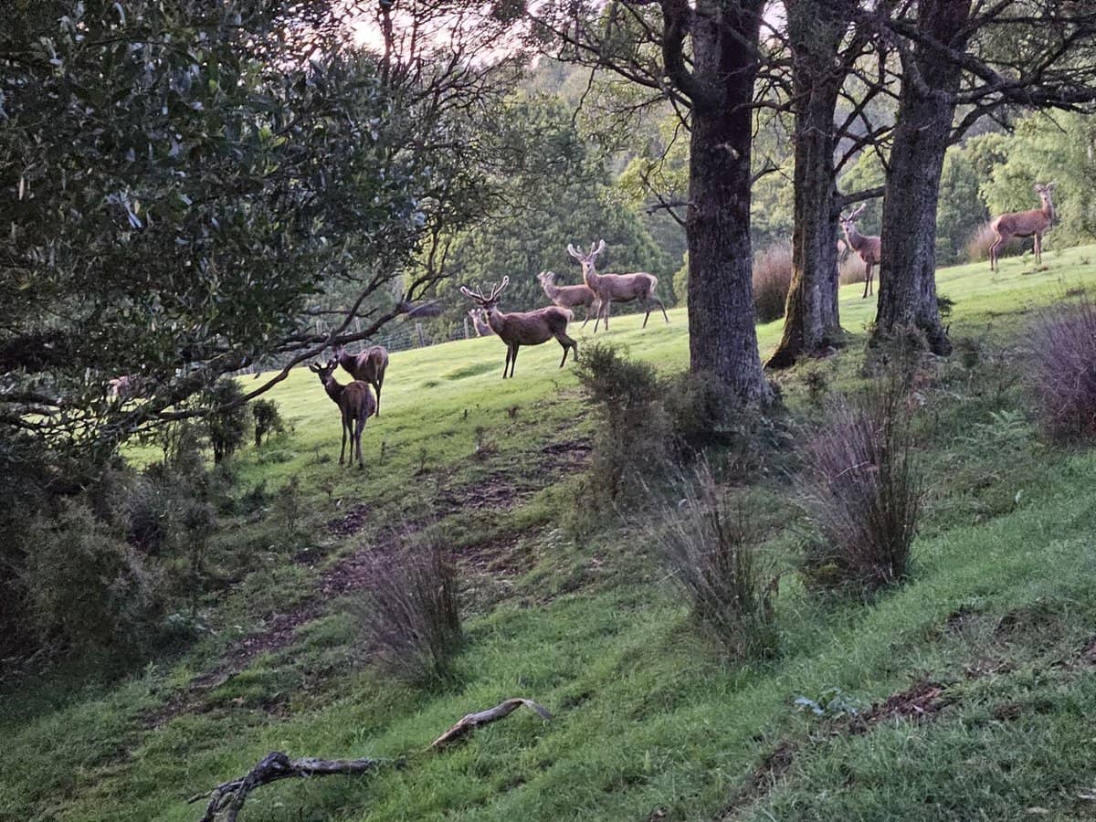 4355 Grand Ridge Road, Grand Ridge - Thumbnail 12