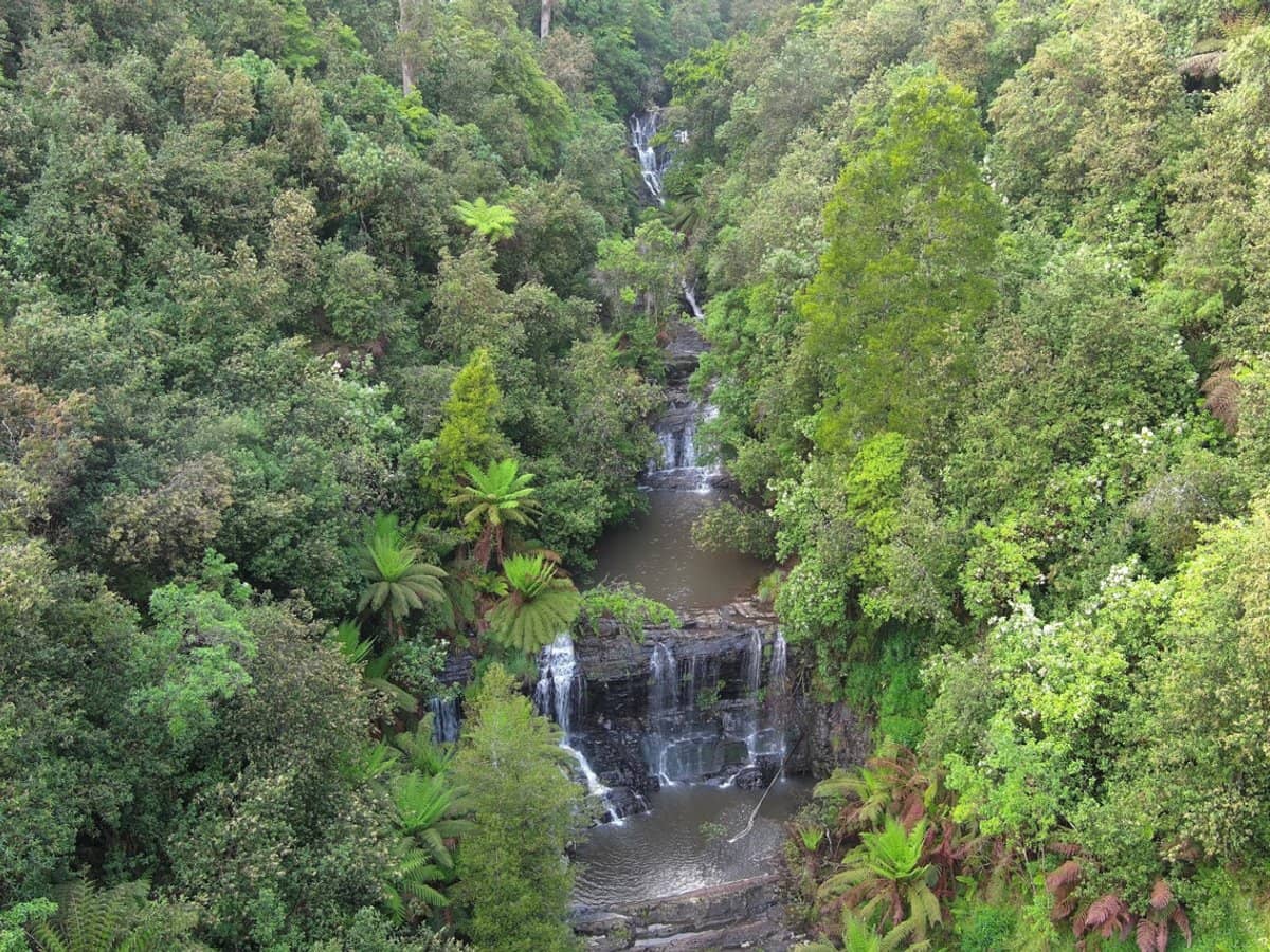 4355 Grand Ridge Road, Grand Ridge - Thumbnail 14