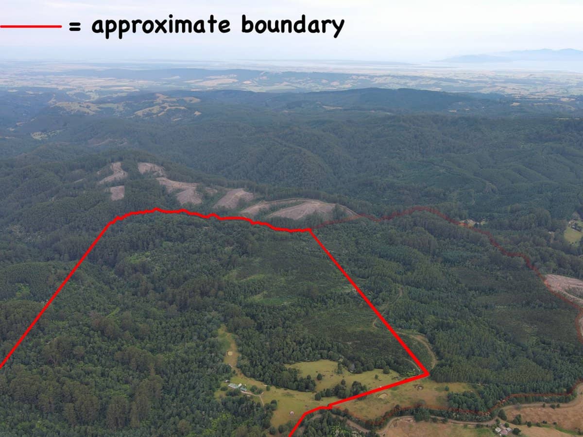 4355 Grand Ridge Road, Grand Ridge - Thumbnail 15