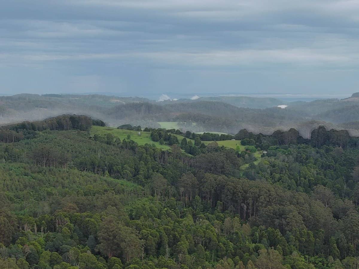 4355 Grand Ridge Road, Grand Ridge - Thumbnail 16