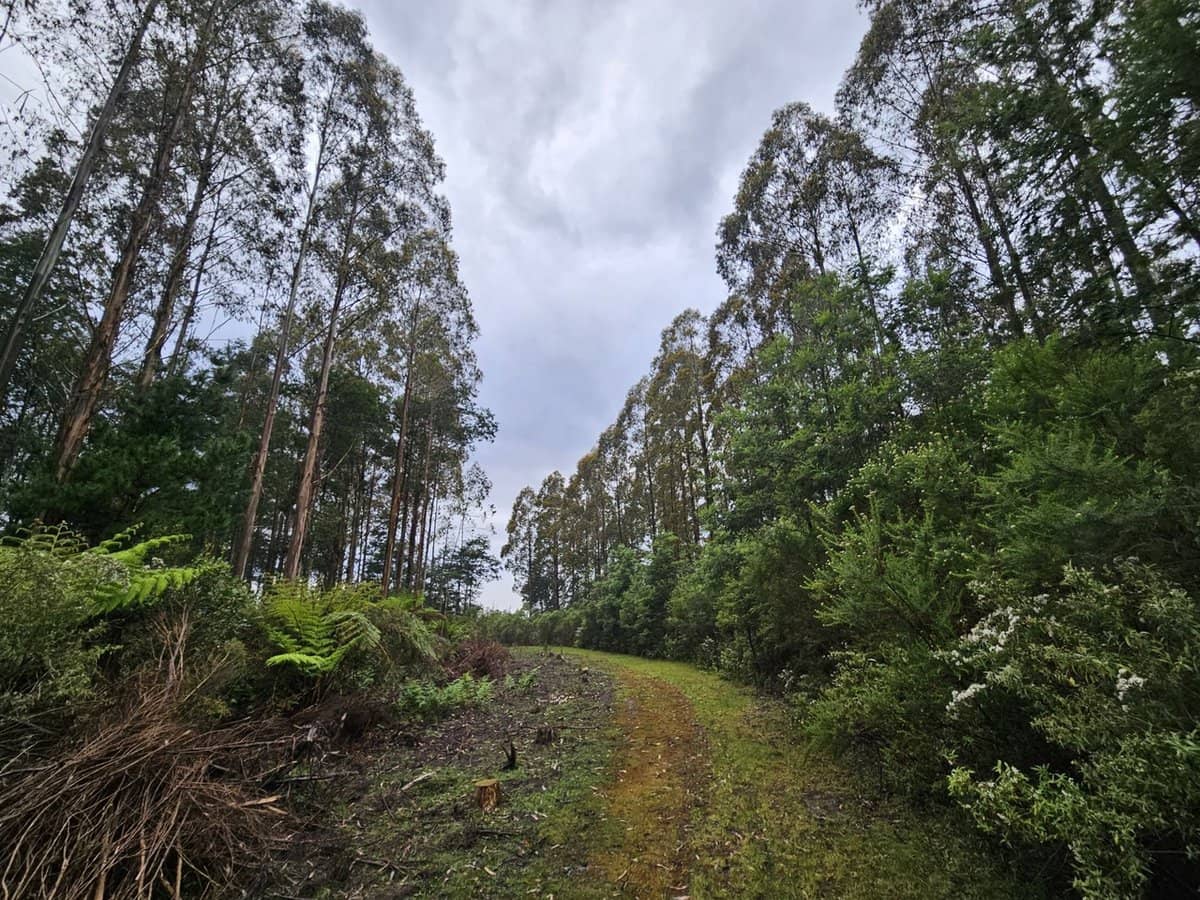 4355 Grand Ridge Road, Grand Ridge - Thumbnail 19