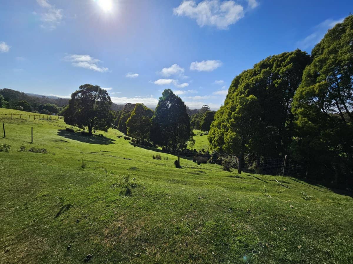 4355 Grand Ridge Road, Grand Ridge - Thumbnail 21