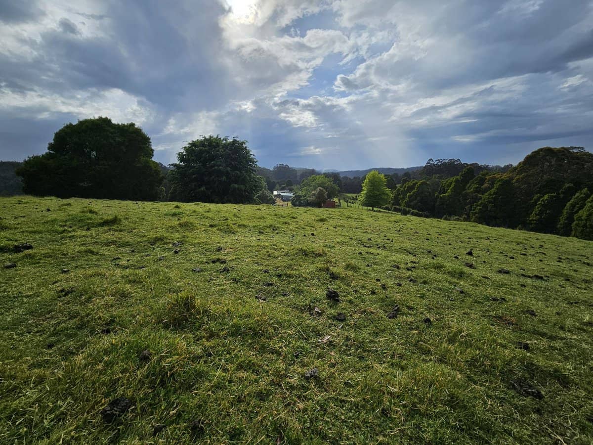 4355 Grand Ridge Road, Grand Ridge - Thumbnail 22