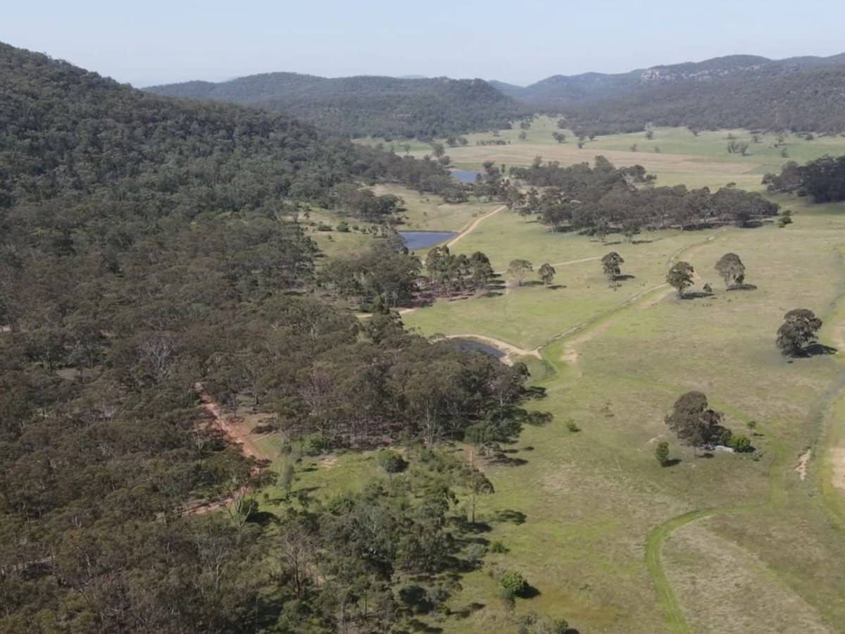 386 Ferndale Road, Yarrawa - Thumbnail 4