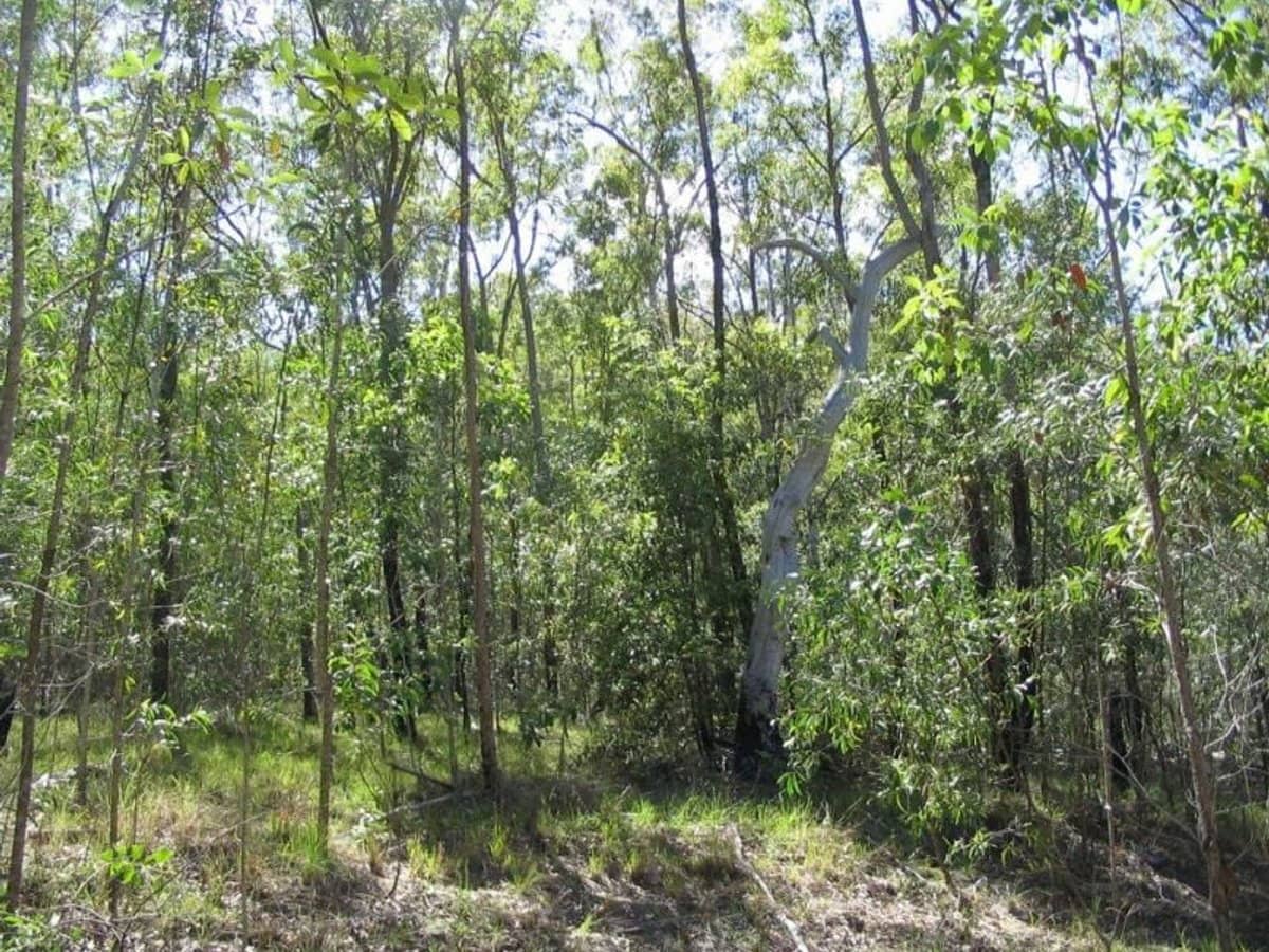 188 Doughboy Road, Gin Gin - Thumbnail 6