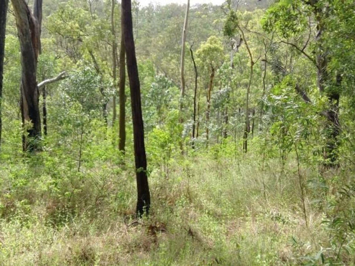 188 Doughboy Road, Gin Gin - Thumbnail 7