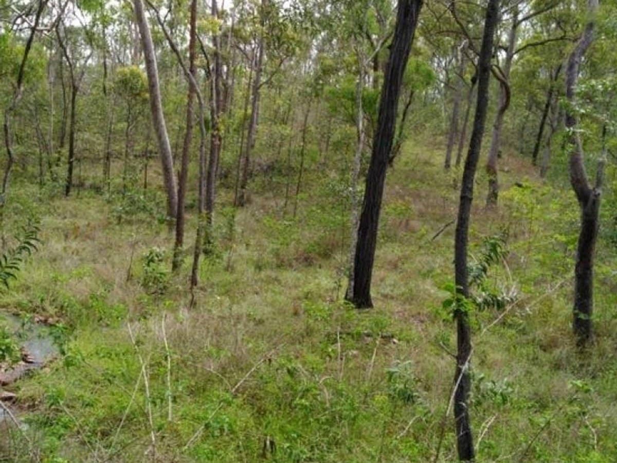 188 Doughboy Road, Gin Gin - Thumbnail 8