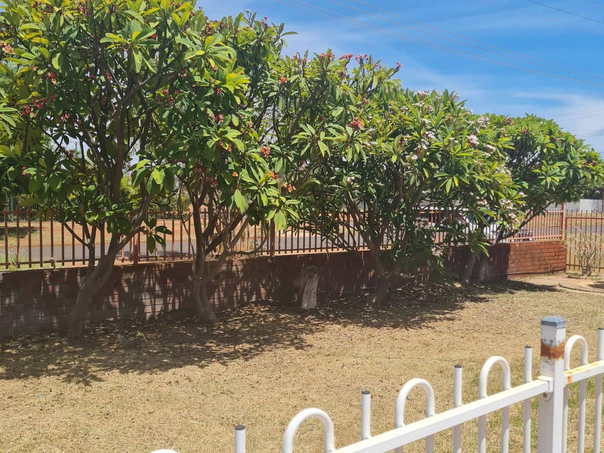 14 Ambrose Street, Tennant Creek - Thumbnail 35