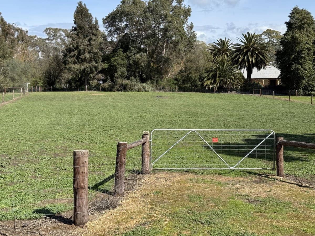 22a Stewart Terrace, Naracoorte - Thumbnail 1