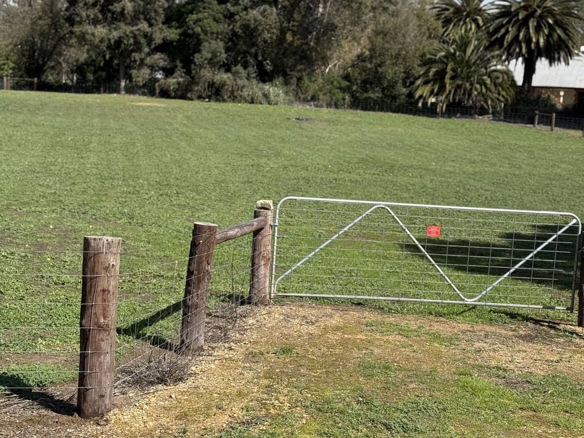 22a Stewart Terrace, Naracoorte - Thumbnail 5