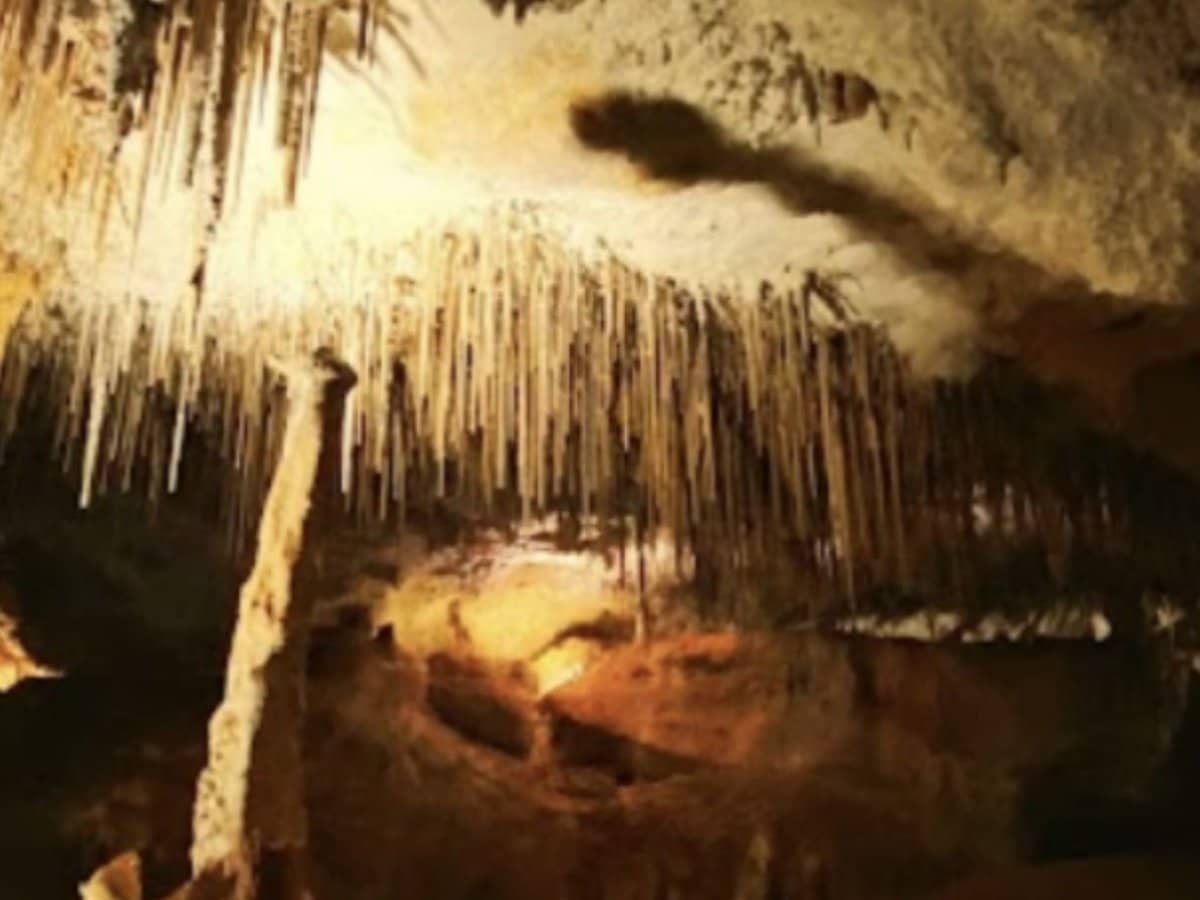 22a Stewart Terrace, Naracoorte - Thumbnail 9