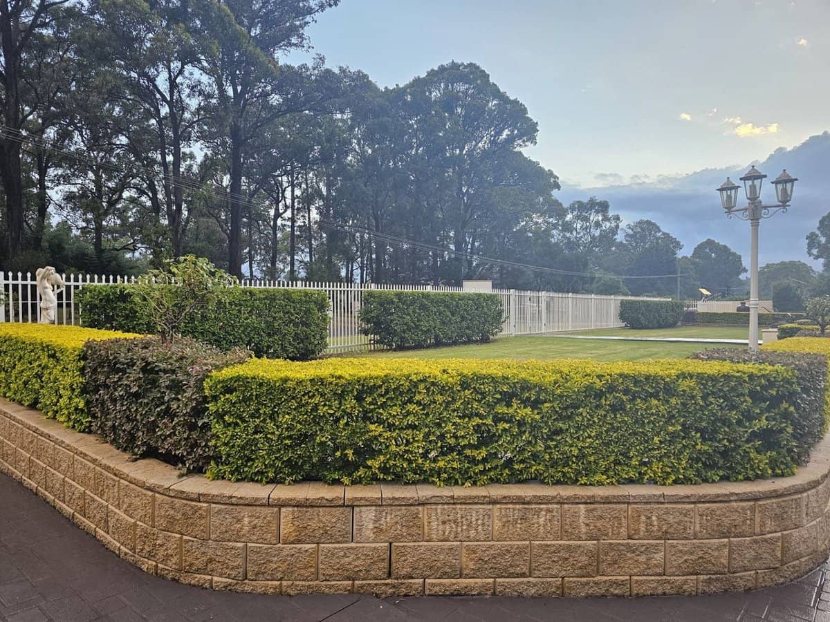 65 Ironbark Road, Bargo - Thumbnail 8