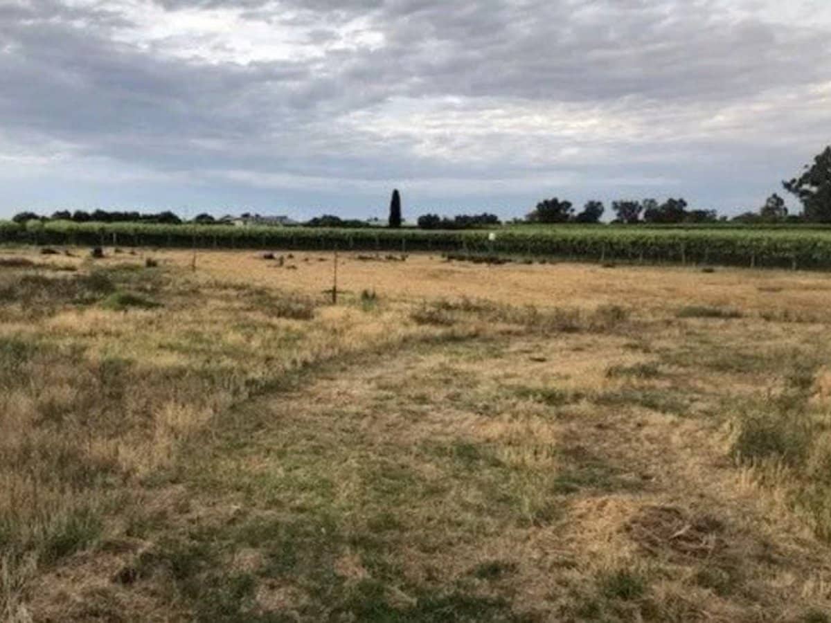 9260 Calder Highway, Irymple - Thumbnail 3