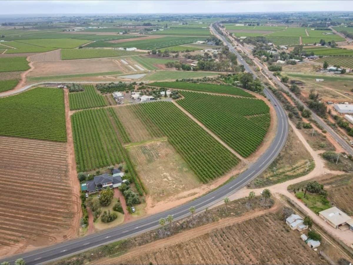 9260 Calder Highway, Irymple - Thumbnail 5