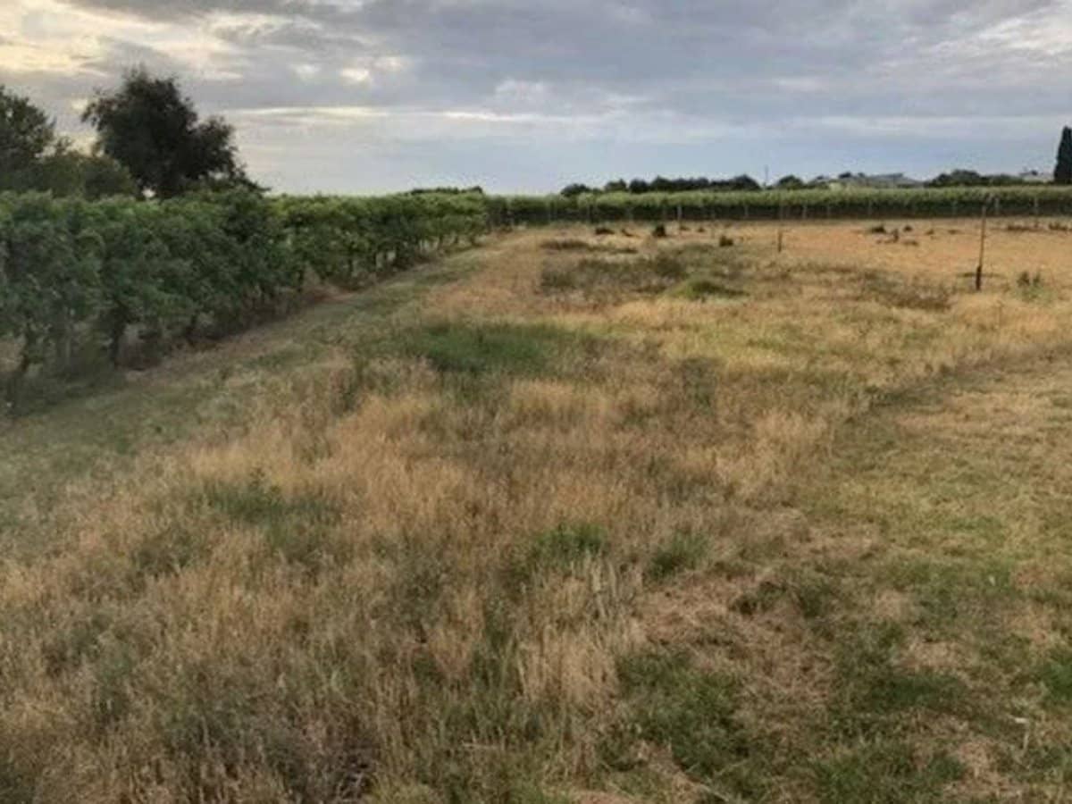 9260 Calder Highway, Irymple - Thumbnail 6