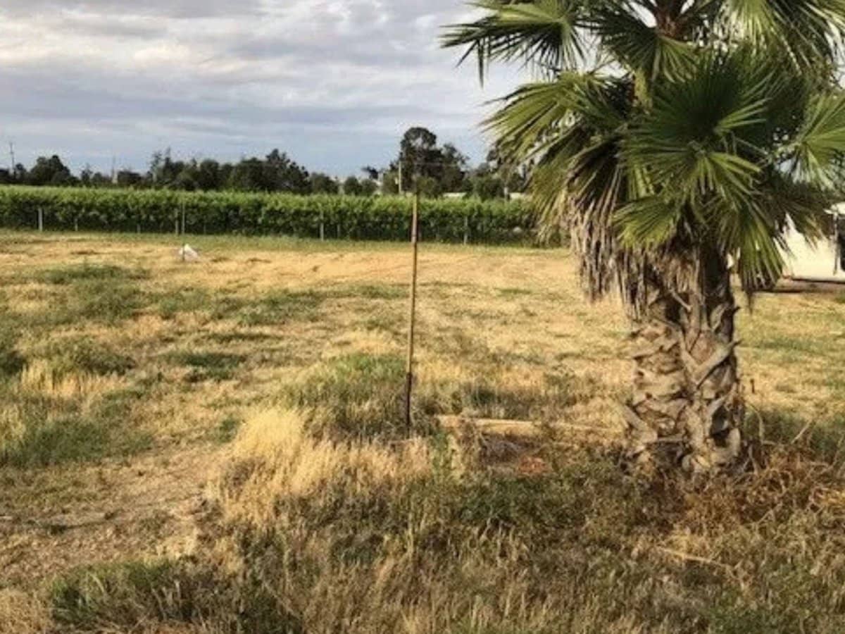 9260 Calder Highway, Irymple - Thumbnail 7