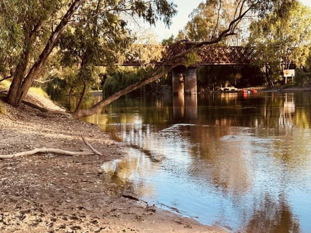 163 Larmer Street, Narrandera - Thumbnail 31