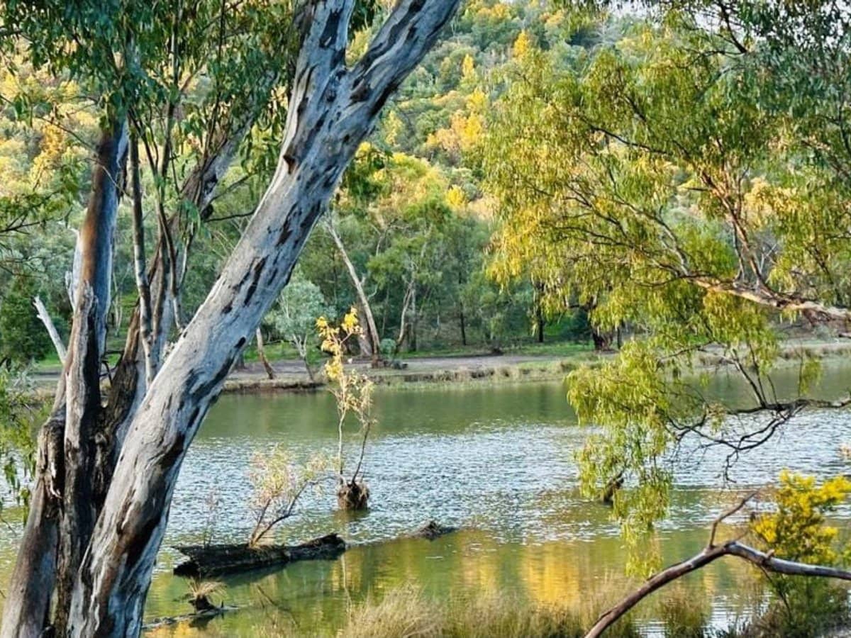 163 Larmer Street, Narrandera - Thumbnail 32