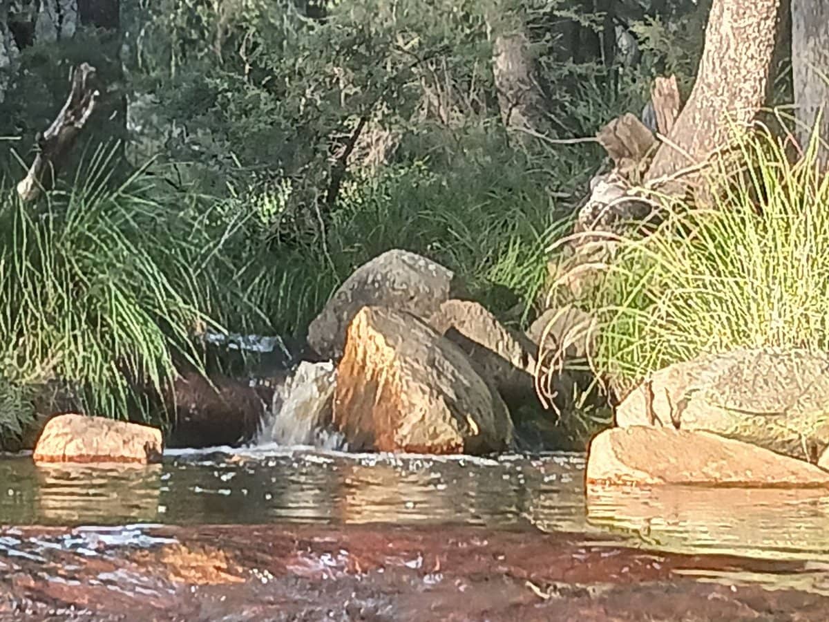 Lot 38 Eagle Creek Road, Tenterfield - Thumbnail 14