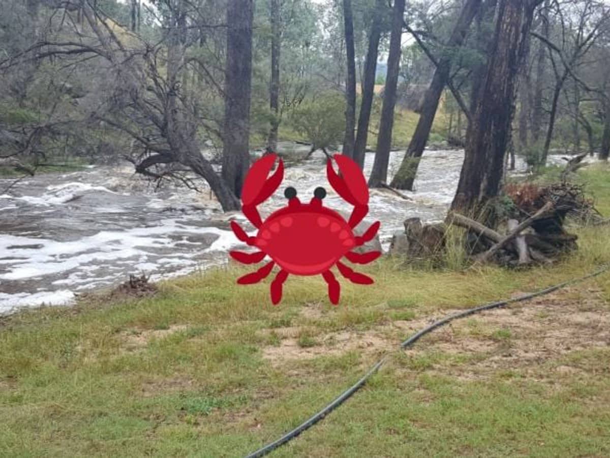 Lot 38 Eagle Creek Road, Tenterfield - Thumbnail 23